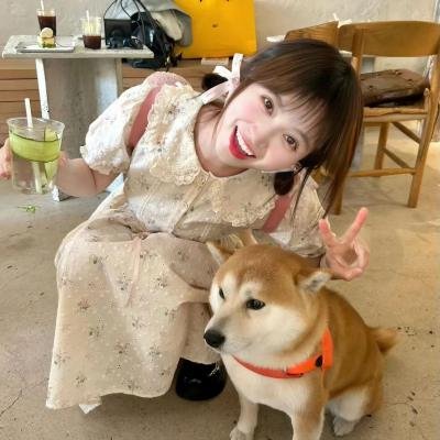 面包,巴士和第二次初恋